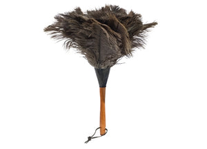 Feather duster natural