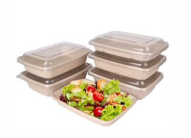 Sugar cane bagasse rectangular one compartment