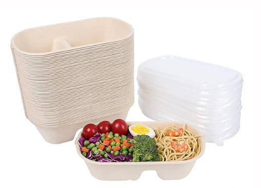 Sugar cane bagasse rectangular two compartment