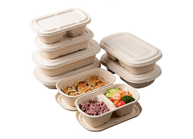 Sugar cane bagasse