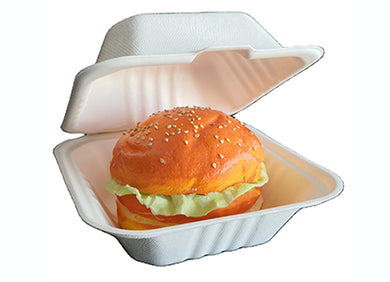 Lunch box with hinged lid