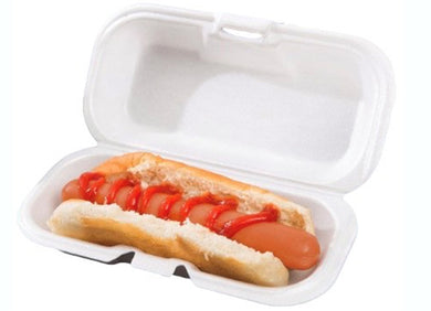 Sandwich foam box with hinged lid