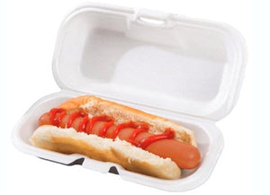 Sandwich foam box with hinged lid