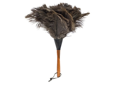 Feather duster natural
