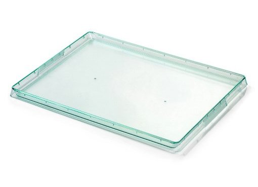Plastic tray rectangular transparent